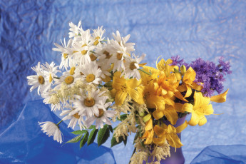 Картинка цветы луговые полевые ромашки букет