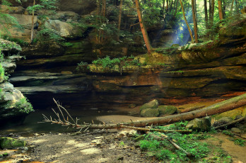 Картинка пейзаж природа лес скалы лучи