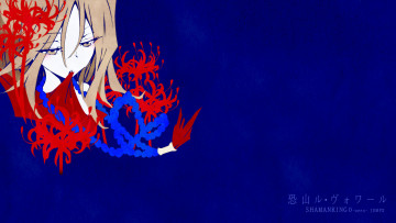 Картинка аниме shaman king