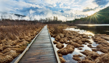 Картинка mile lake ontario canada природа восходы закаты озеро лес мостик