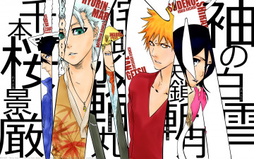 Картинка аниме bleach izuru+kira anime kuchiki+byakuya ichigo+kurosaki kuchiki+rukia itsugaya+toushirou