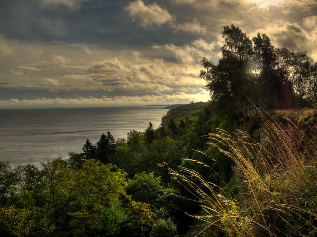 Обои картинки фото эстония, ида, вирумаа, природа, реки, озера, облака, кусты, река