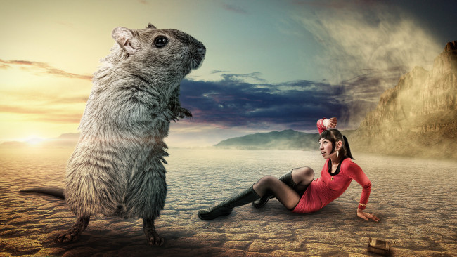 Обои картинки фото разное, компьютерный, дизайн, большая, мышь