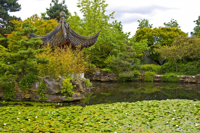 Обои картинки фото канада, dr, sun, yat, sen, garden, vancouver, природа, парк, сад, пруд, растения
