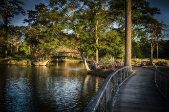 Картинка природа реки озера река лес