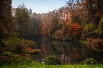 Картинка природа реки озера река лес