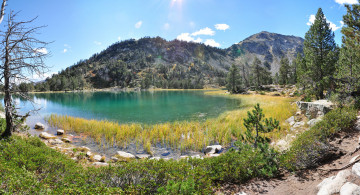 Картинка природа реки озера река лес