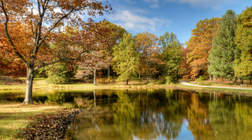 Картинка природа реки озера река лес