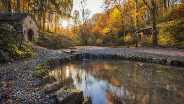 Картинка природа реки озера лес река