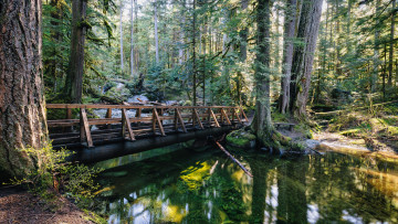 Картинка природа реки озера лес река