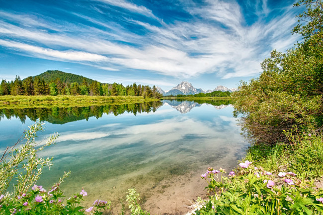 Обои картинки фото природа, реки, озера, лес, река