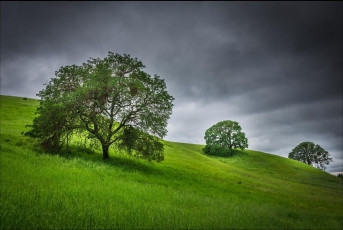 Картинка природа пейзажи тучи холмы деревья пейзаж