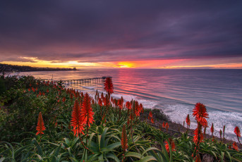 Картинка природа побережье море берег