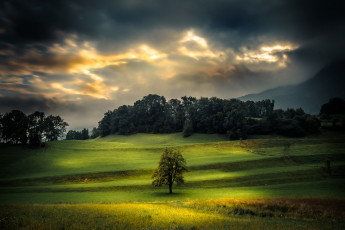 Картинка природа пейзажи простор