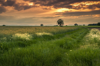 Картинка природа пейзажи простор