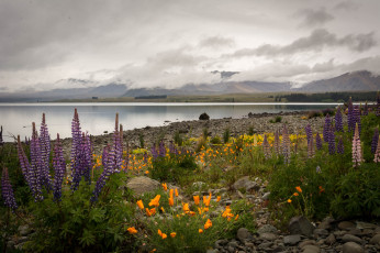 Картинка природа побережье море берег