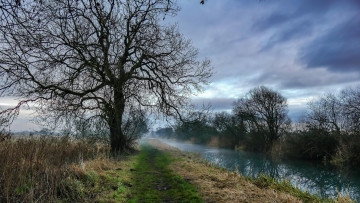 Картинка природа пейзажи закат дорога пейзад деревья канал