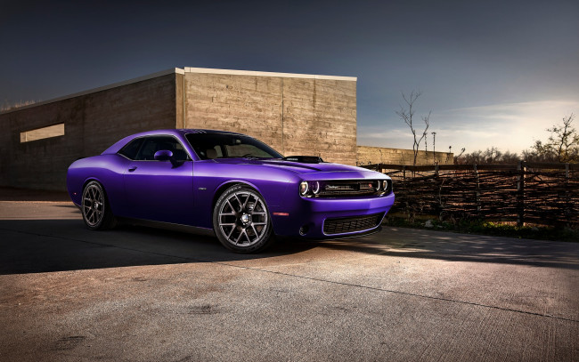 Обои картинки фото dodge challenger 2016, автомобили, dodge, challenger, 2016