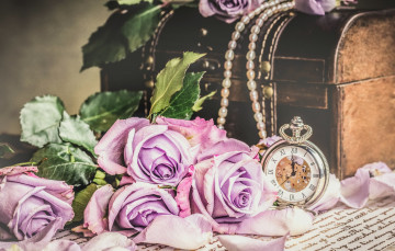 Картинка цветы розы