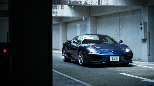 Обои картинки фото автомобили, ferrari