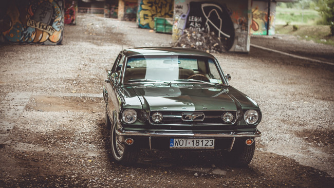 Обои картинки фото автомобили, mustang, 1966, ford