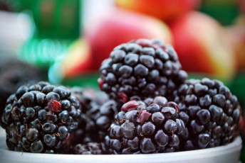 Картинка еда ежевика ягоды спелая