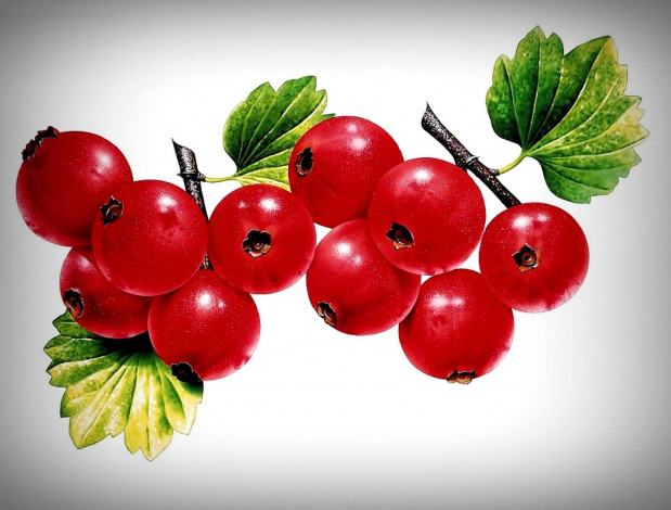 Обои картинки фото рисованное, еда, смородина