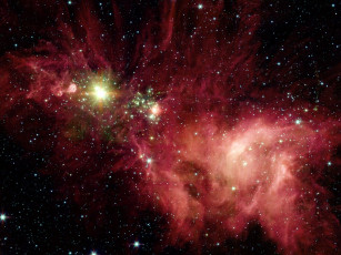 Картинка ngc2264 космос галактики туманности