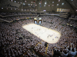 Картинка фаны питсбурга спорт стадионы