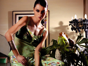 Картинка бренды другое