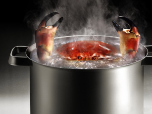 Картинка еда рыба морепродукты суши роллы