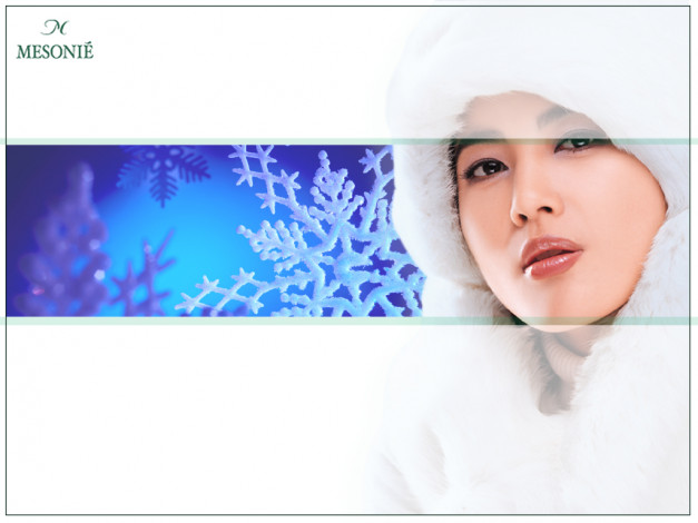 Обои картинки фото бренды, mesonie