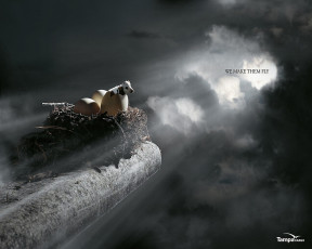 Картинка бренды другое