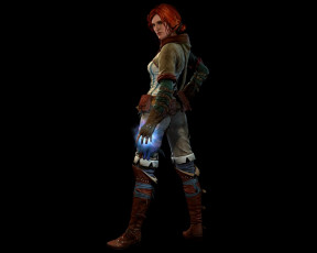 Картинка the witcher assassins of kings видео игры