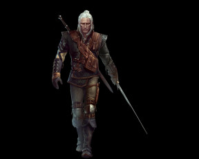 Картинка the witcher assassins of kings видео игры