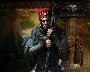 Картинка the witcher assassins of kings видео игры