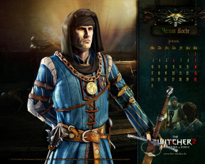 Картинка the witcher assassins of kings видео игры