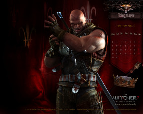 Картинка the witcher assassins of kings видео игры