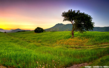 Картинка природа луга