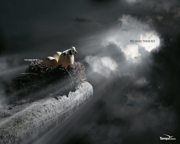 Обои картинки фото бренды, другое