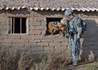 Картинка оружие армия спецназ army soldiers military