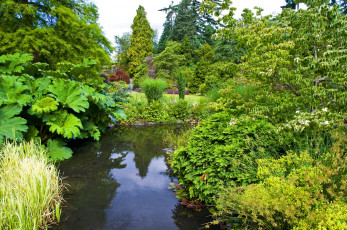 Картинка природа парк queen elizabeth vancouver канада