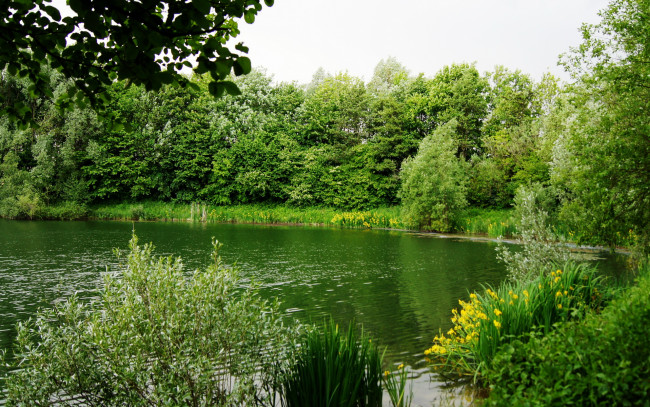 Обои картинки фото природа, реки, озера, германия, бавария, река, изар