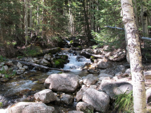 Картинка great basin national park невада природа парк ручей лес