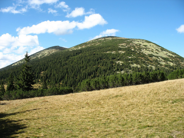 Обои картинки фото украина, закарпатье, сивуля, лопушна, природа, горы