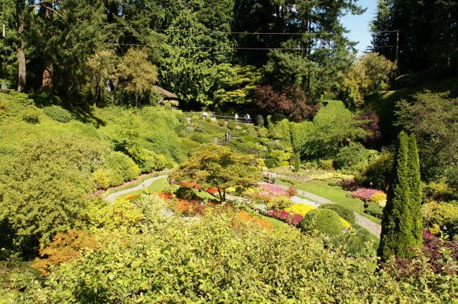 Обои картинки фото butchart, gardens, victoria, канада, природа, парк, сад, растения