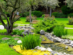 Картинка природа парк цветы ручей кусты