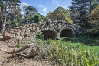 Картинка природа реки озера мост река лес арки