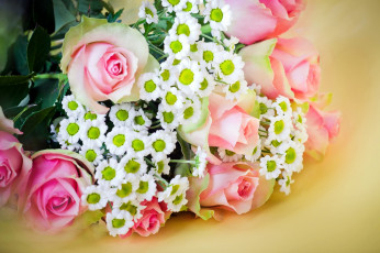 Картинка цветы букеты +композиции букет розы