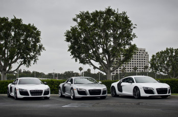 обоя audi r8 lineup, автомобили, выставки и уличные фото, стоянка, авто